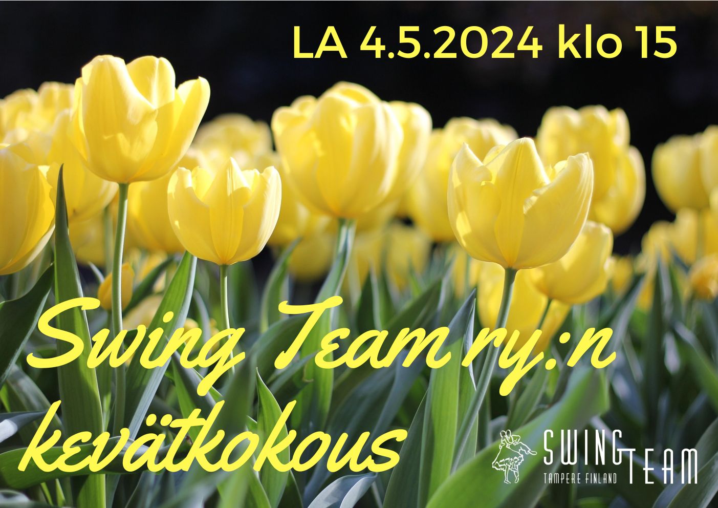Swing Teamin kevätkokous 4.5.2024
